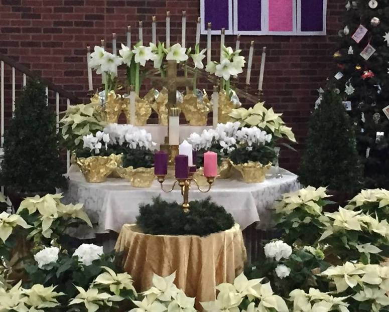 12141617_873946482701779_4514730015893996917_n